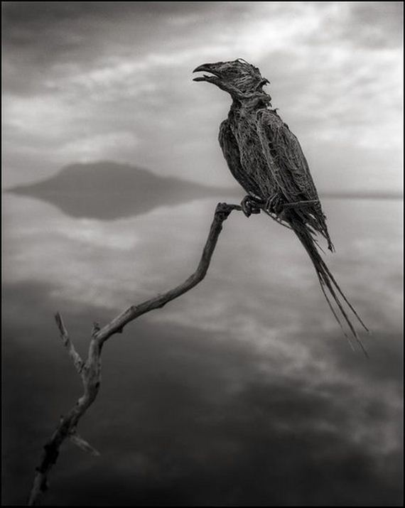 nick_brandt