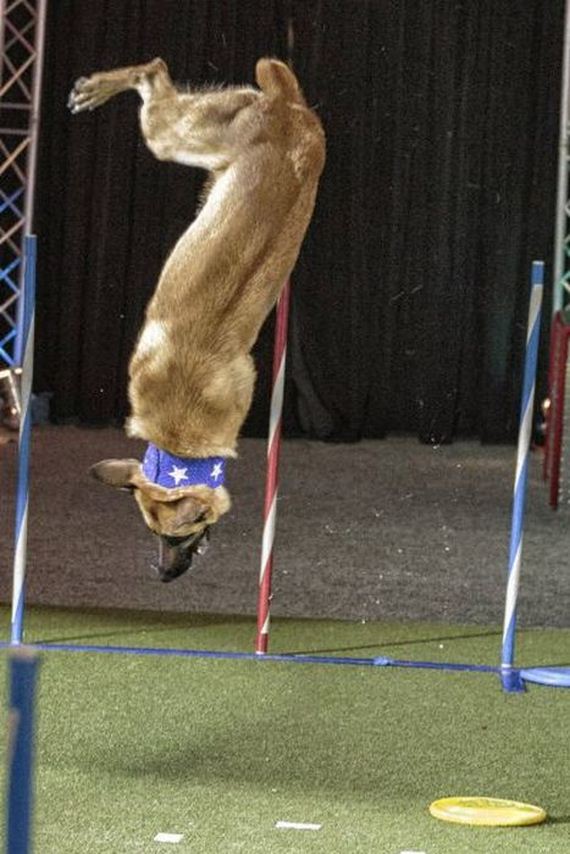 oh_crikey_this_is_not_looking_good