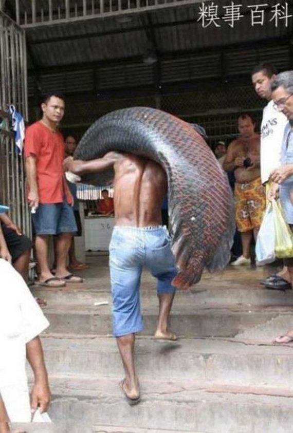 oh_crikey_this_is_not_looking_good