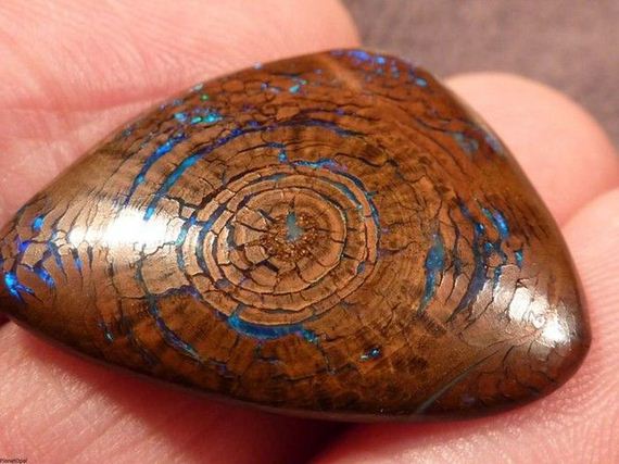 opal_tree_01