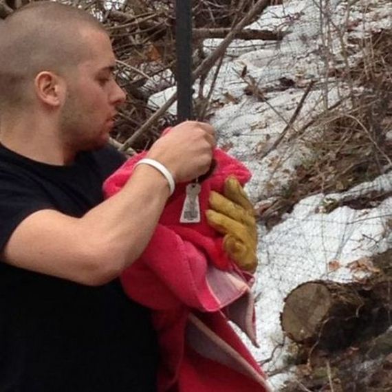 owl_rescue