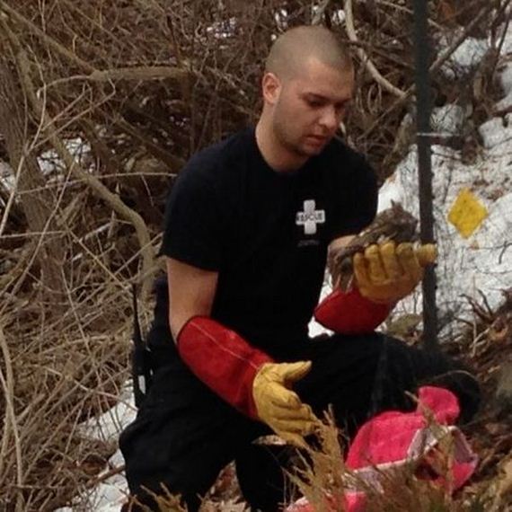 owl_rescue