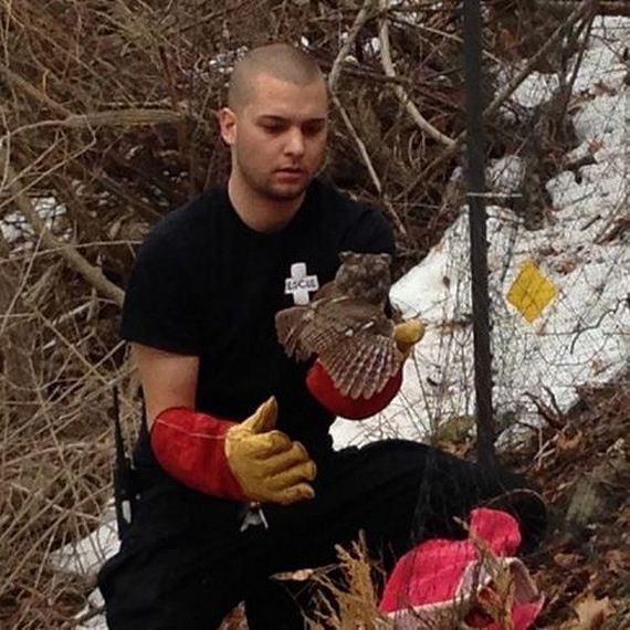 owl_rescue