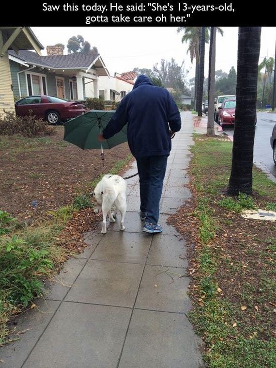 pet-owners-who-are