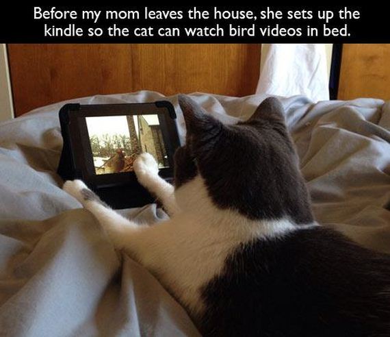 pet-owners-who-are