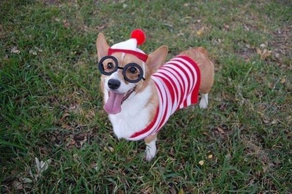 pet-owners-who-are