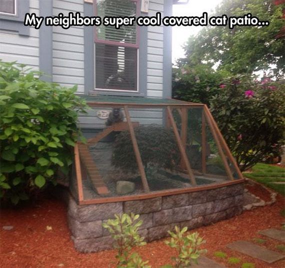 pet-owners-who-are