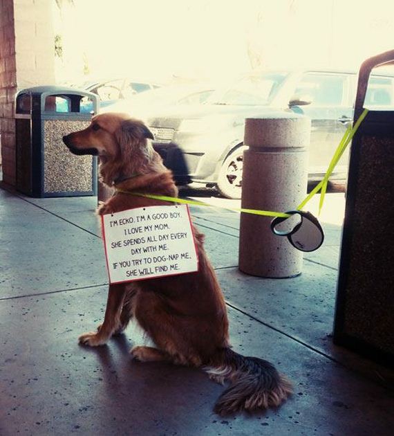 pet-owners-who-are