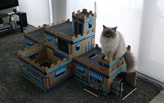 pet-owners-who-are