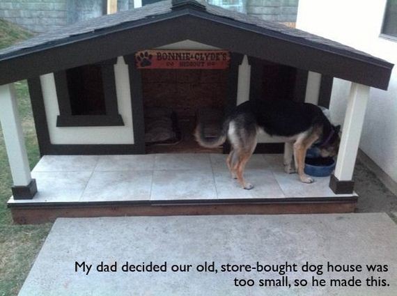 pet-owners-who-are