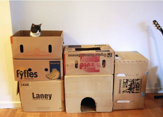 pet-owners-who-are
