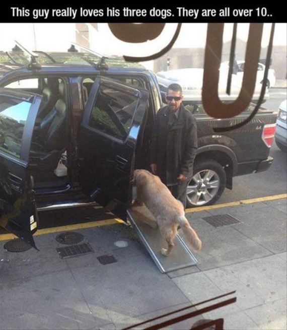 pet-owners-who-are