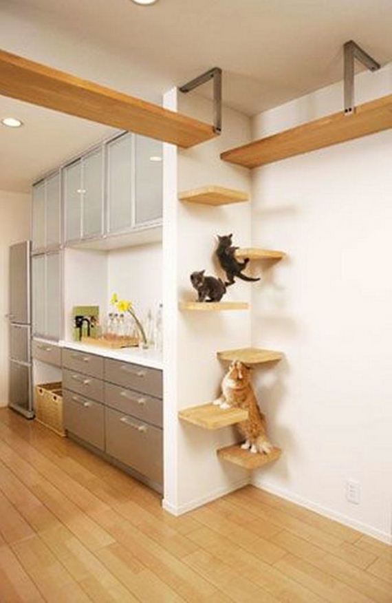 pet-owners-who-are