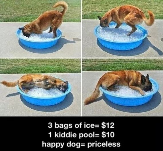 pet-owners-who-are