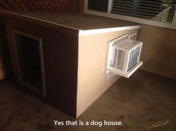 pet-owners-who-are
