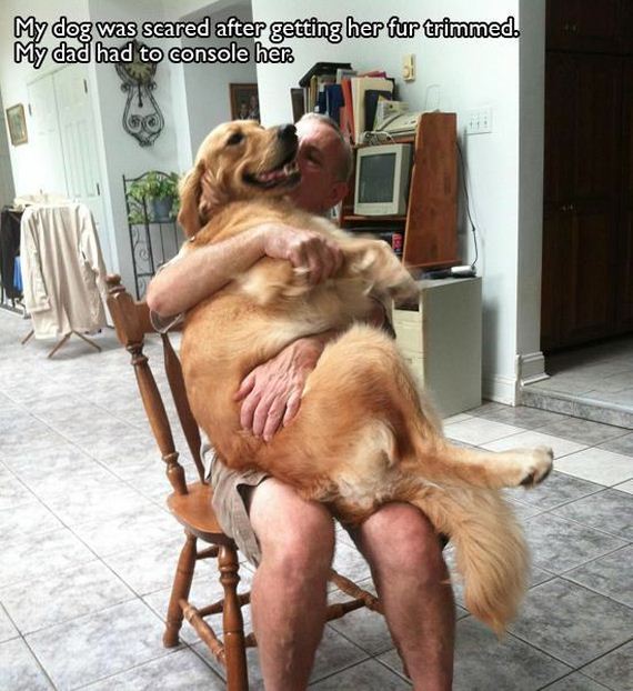 pet-owners-who-are