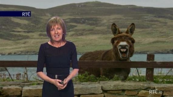 photobomb_37