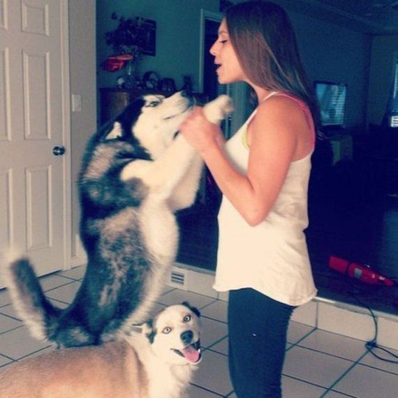 photobombs_36