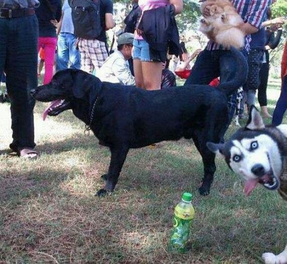 photobombs_36