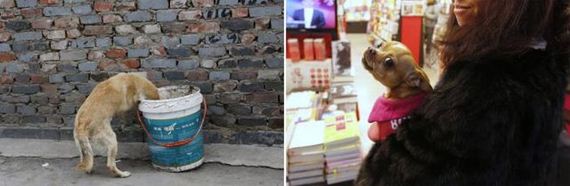 poignant_photos_highlight_chinas_massive_wealth_gap