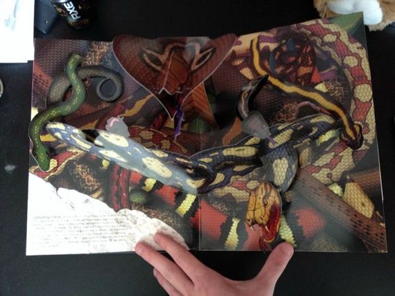 pop_up_book