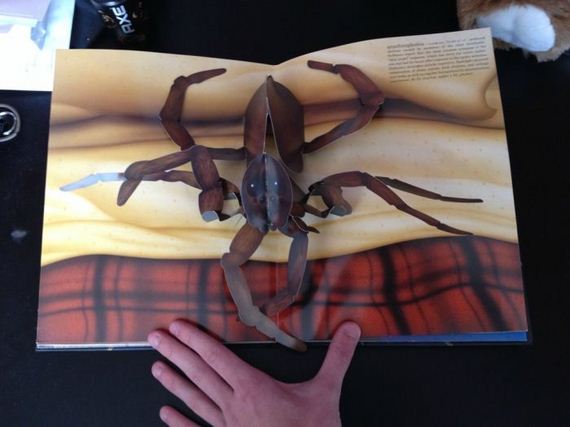 pop_up_book