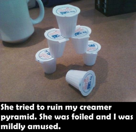 random_things_that_will_inspire_a_mild_chuckle