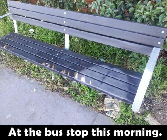 random_things_that_will_inspire_a_mild_chuckle