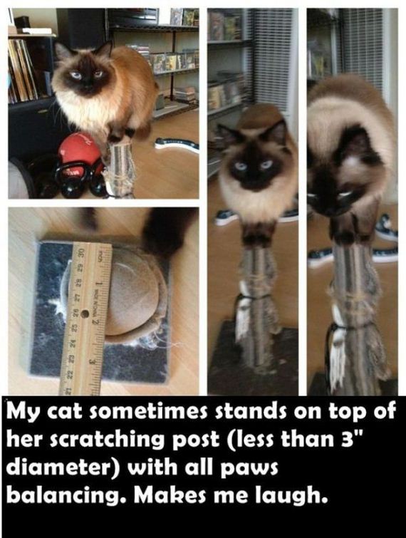 random_things_that_will_inspire_a_mild_chuckle
