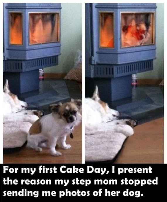 random_things_that_will_inspire_a_mild_chuckle