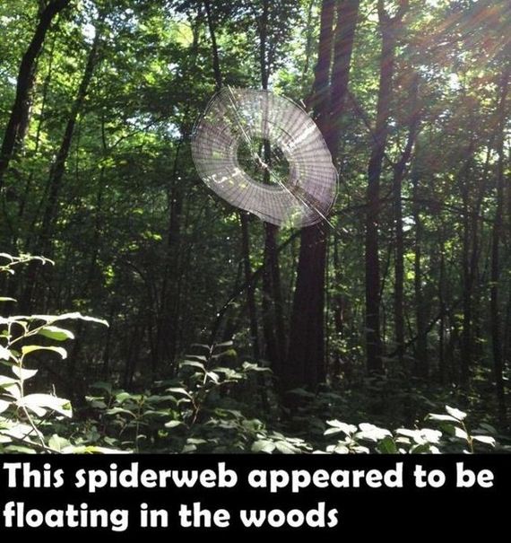 random_things_that_will_inspire_a_mild_chuckle