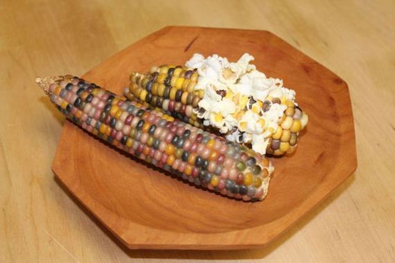 real_corn_on_the_cob_that_comes_in_colors