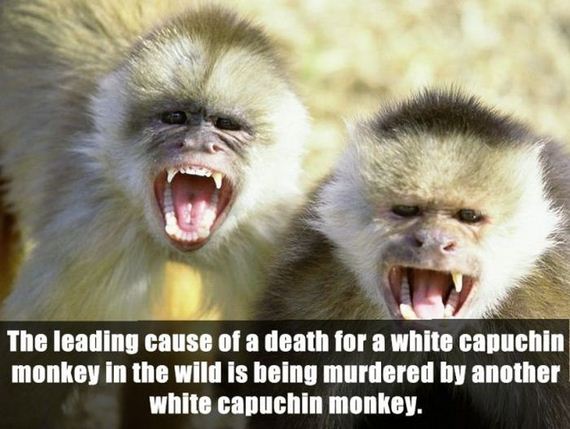 real_facts_that_may_baffle_your_brain