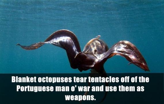 real_facts_that_may_baffle_your_brain
