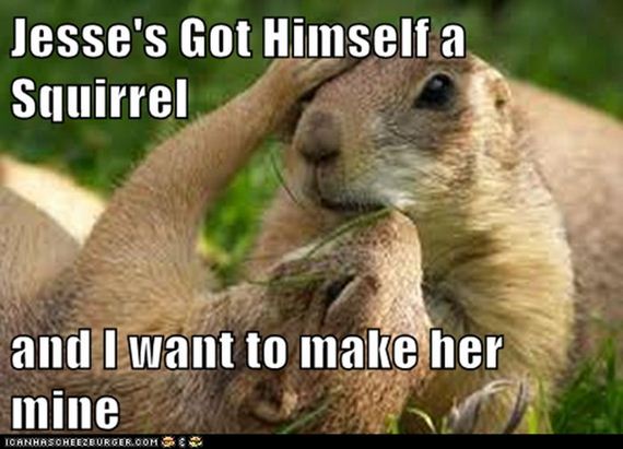 replace_it_with_squirrel