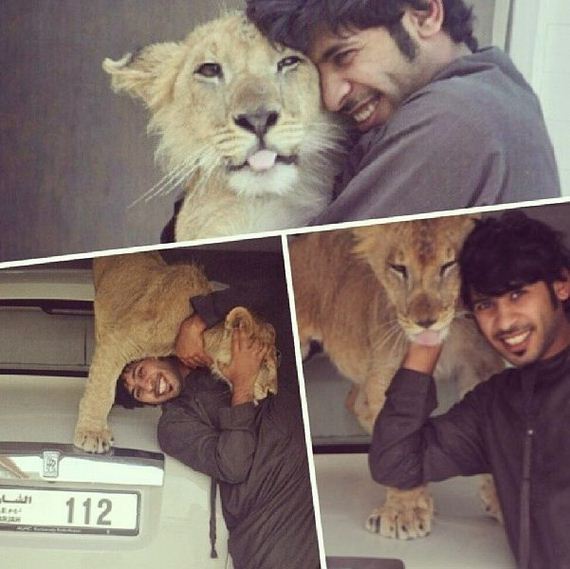 rich_guy_rith_lions_instagram
