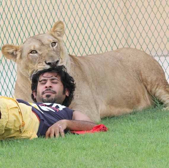 rich_guy_rith_lions_instagram