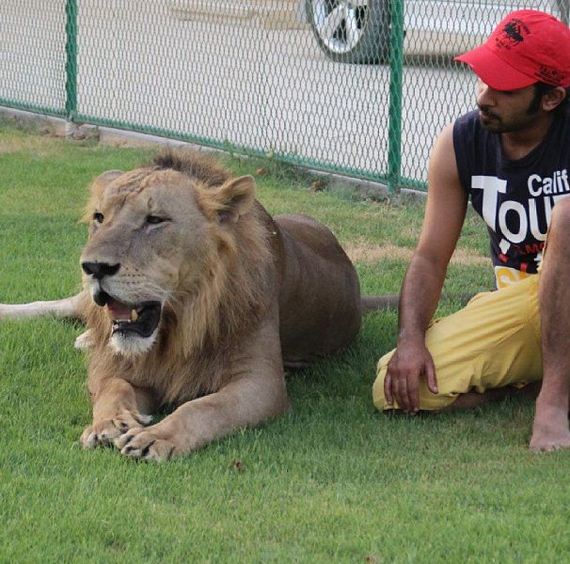 rich_guy_rith_lions_instagram