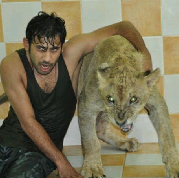rich_guy_rith_lions_instagram