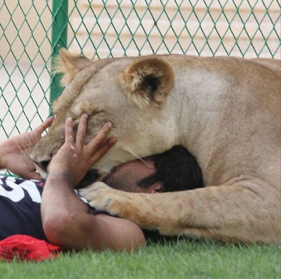 rich_guy_rith_lions_instagram