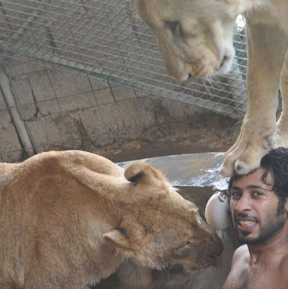rich_guy_rith_lions_instagram