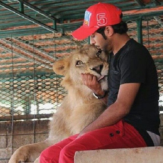 rich_guy_rith_lions_instagram