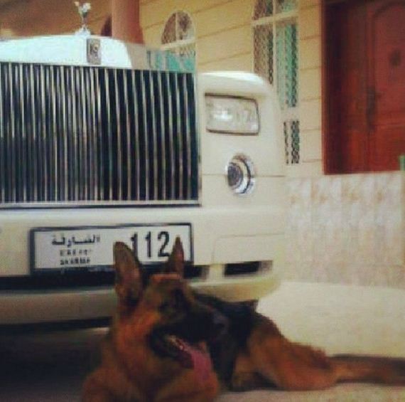 rich_guy_rith_lions_instagram