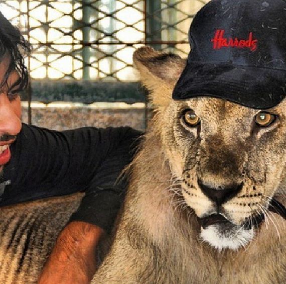 rich_guy_rith_lions_instagram