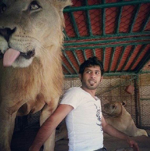rich_guy_rith_lions_instagram