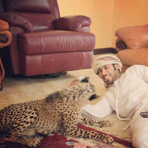 rich_guy_rith_lions_instagram