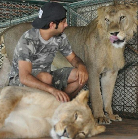 rich_guy_rith_lions_instagram