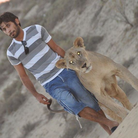 rich_guy_rith_lions_instagram