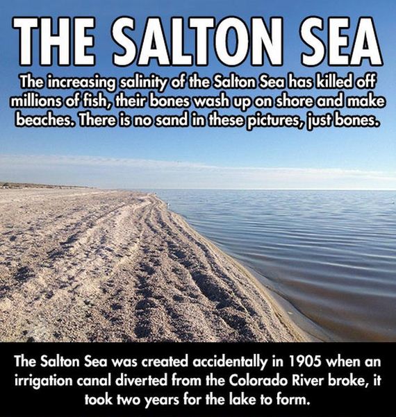 salton_sea