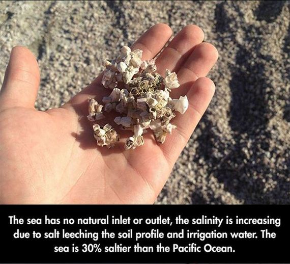 salton_sea